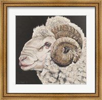 Portrait of a Ram Fine Art Print