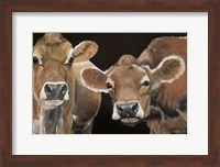 Hello There Cows Fine Art Print