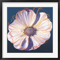 Flower Pop Pastel II Framed Print