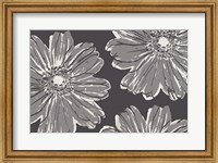 Flower Pop Sketch V-Shades of Grey Fine Art Print