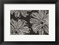 Flower Pop Sketch VII-Black BG Fine Art Print