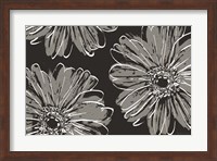 Flower Pop Sketch VII-Black BG Fine Art Print
