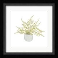 Potted Fern I Framed Print