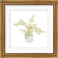 Potted Fern III Fine Art Print