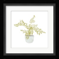 Potted Fern III Framed Print