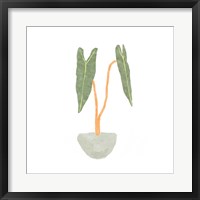 Philodendron Billietiae I Fine Art Print