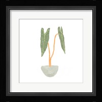 Philodendron Billietiae I Framed Print