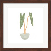 Philodendron Billietiae I Fine Art Print