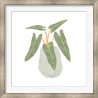 Philodendron Billietiae II Fine Art Print