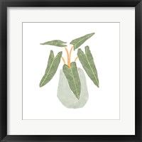 Philodendron Billietiae II Fine Art Print