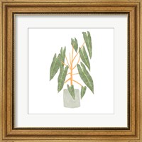 Philodendron Billietiae III Fine Art Print