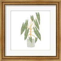 Philodendron Billietiae III Fine Art Print