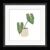 Philodendron Gloriosum I Framed Print