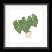Philodendron Gloriosum IV Framed Print