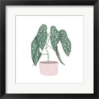 Polka Dot Begonia III Framed Print