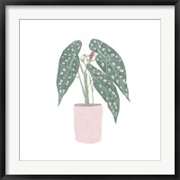 Polka Dot Begonia V Fine Art Print