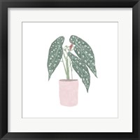 Polka Dot Begonia V Framed Print