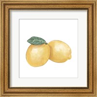 Citrus Limon III Fine Art Print