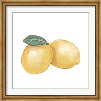 Citrus Limon III Fine Art Print