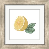 Citrus Limon IV Fine Art Print