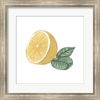 Citrus Limon IV Fine Art Print