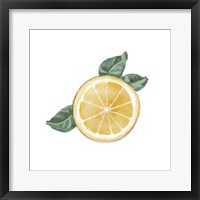 Citrus Limon V Framed Print