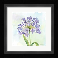 Wildflower Single II Framed Print