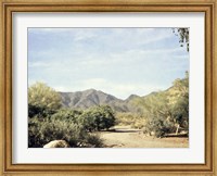 Desert Path Fine Art Print