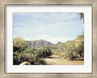 Desert Path Fine Art Print