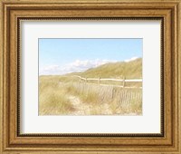 Seagrass Dunes Fine Art Print