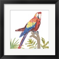 Tropical Parrot Fine Art Print