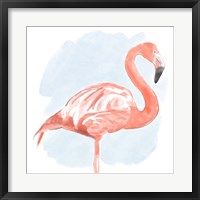Tropical Flamingo II Fine Art Print