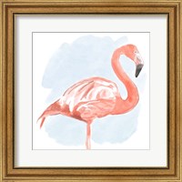 Tropical Flamingo II Fine Art Print