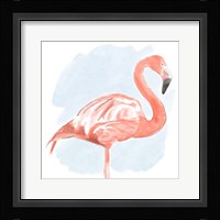Tropical Flamingo II Framed Print