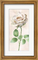 Ivory Roses Panel I Fine Art Print