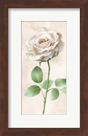 Ivory Roses Panel I Fine Art Print