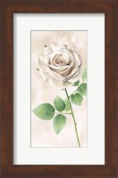 Ivory Roses Panel II Fine Art Print