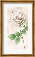 Ivory Roses Panel II Fine Art Print