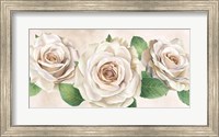 Ivory Roses Landscape I Fine Art Print