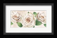 Ivory Roses Landscape I Framed Print