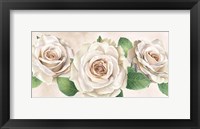 Ivory Roses Landscape I Framed Print