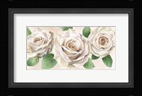 Ivory Roses Landscape II Framed Print