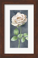 Ivory Roses on Gray Panel I Fine Art Print