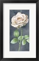 Ivory Roses on Gray Panel I Framed Print