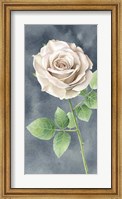 Ivory Roses on Gray Panel II Fine Art Print