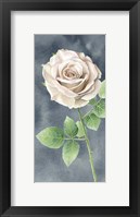 Ivory Roses on Gray Panel II Framed Print