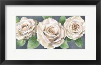 Ivory Roses on Gray Landscape II Framed Print