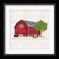 Spring & Summer Barn Quilt III Framed Print