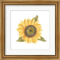 Single Sunflower I Fine Art Print