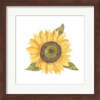 Single Sunflower I Fine Art Print